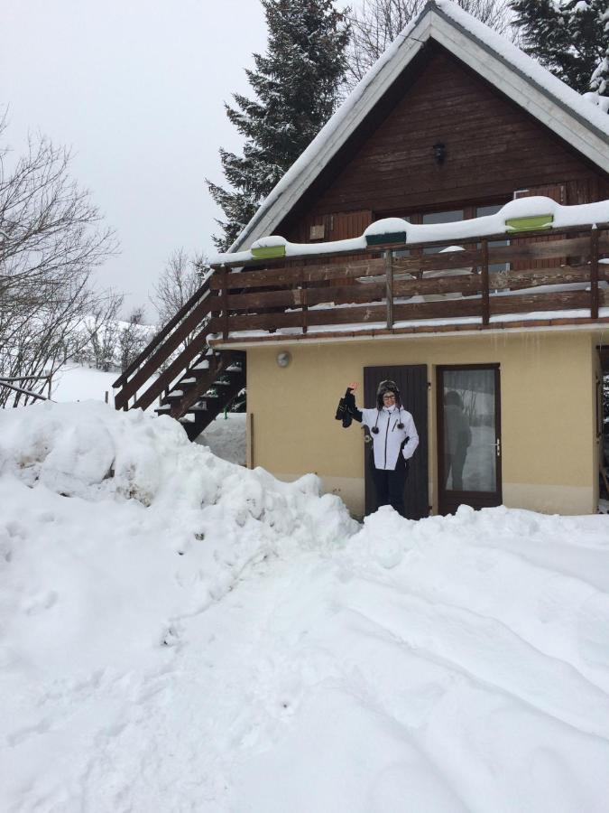 Appartement Dans Le Chalet La Chapelle-en-Vercors Exterior photo